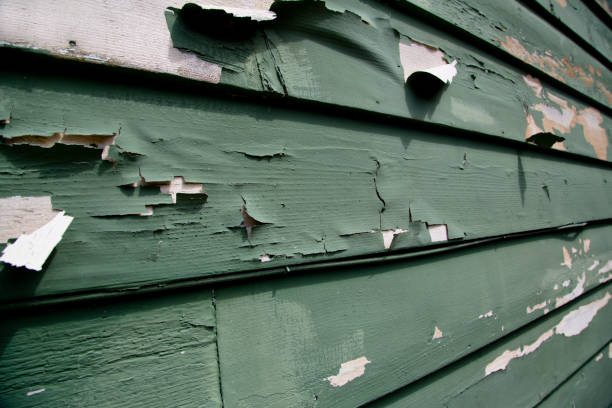 Best Historical Building Siding Restoration  in Fritz Creek, AK